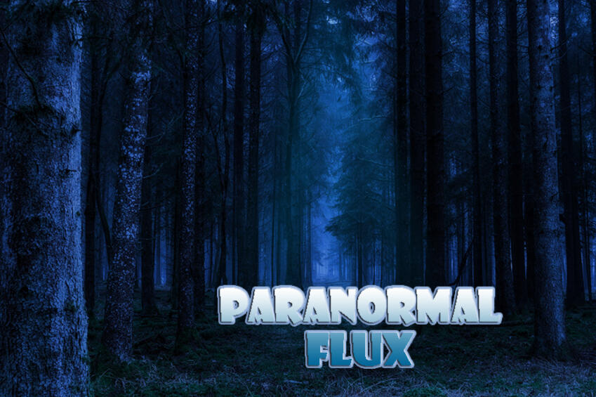 Paranormal Flux Forest Graphic